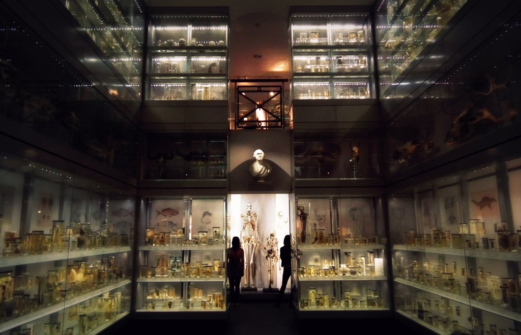 Hunterian Museum