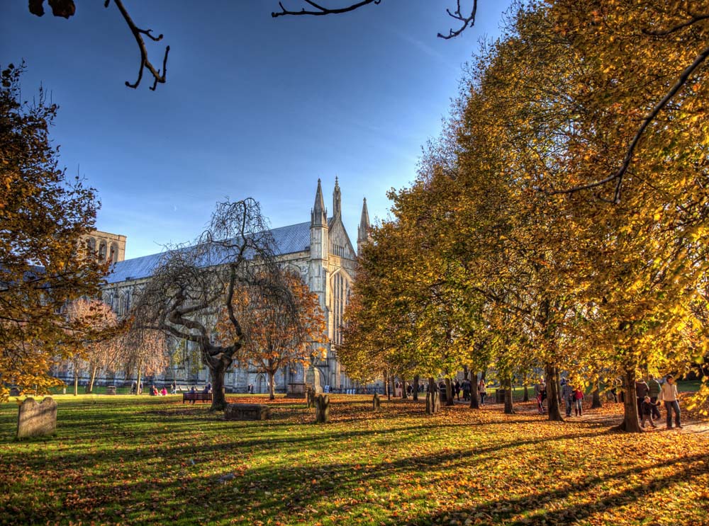 Winchester Cathedral